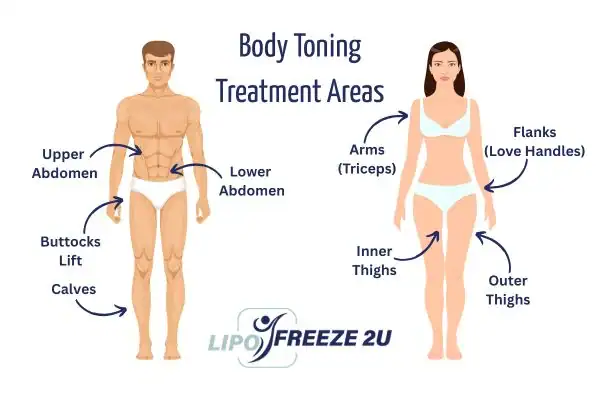 Graphic showing where you can have Body toning Treatment High Wycombe on your body